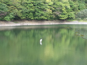 071012白神山地 046.jpg