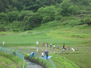 090524サッカー 045.jpg