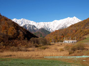 koyo.jpg