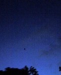 070713_1852~0001.jpg