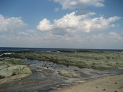 071012千畳敷海岸2@エコカフェ(白神山地).jpg