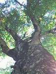 071014_1006~0002.jpg