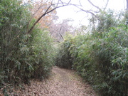 071225鎌倉 013.jpg