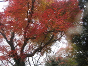 071225鎌倉 015.jpg