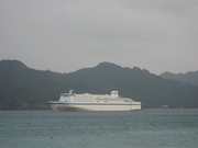 080101小笠原(お正月) 035.jpg