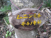 080101小笠原(お正月) 116.jpg