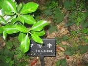 080426マサキ@エコカフェ(江ノ島) 067.jpg