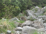 080711RGRcA[ 128.jpg