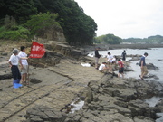080820横浜先生とNaGISA調査@エコカフェ.jpg