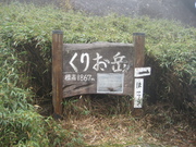 081106ヤクザサ草原@エコカフェ屋久島エコツアー2 051.jpg