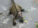 090412?Z^[ 005s-.jpg