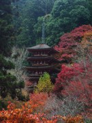 091124長谷寺@エコカフェ.JPG