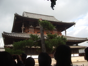 091128法隆寺金堂@エコカフェ.JPG