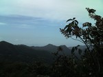 09260004.jpg