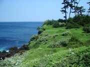 100612伊豆大島@エコカフェ.JPG