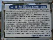 101010人頭税石看板@エコカフェ.JPG