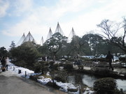 110206兼六園内唐崎松雪つり@エコカフェ.JPG