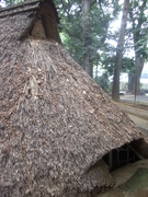 111105代々木八幡宮竪穴式住居復元@エコカフェ.JPG