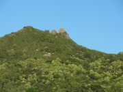 120101父島旭山方面@エコカフェ.jpg