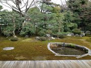 120129堀川寺ノ内 本法寺@青柳.jpg
