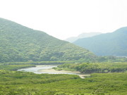 120415奄美大島 065.jpg
