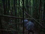 120804片野尾八十八箇所進路無理@エコカフェ.JPG