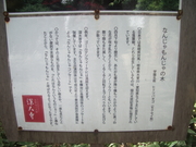 121013なんじゃもんじゃ看板@エコカフェ.JPG
