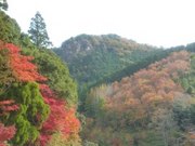 121124鳳来寺紅葉@エコカフェ.jpg
