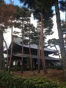 121127大本山相国寺@青柳.jpg