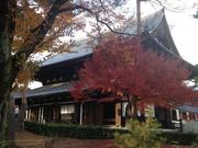 121127大本山相国寺@青柳_n.jpg
