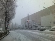 130114_1254~01.jpg