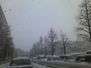 130114_1412~01.jpg