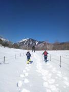 130119清里雪原を@エコカフェ(真保).jpg