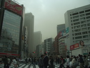130310黄砂襲来@エコカフェ.JPG