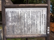 130411高倉看板@エコカフェ奄美大島エコツアー_75.jpg