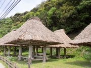 130411高倉(大和村)@エコカフェ奄美大島エコツアー_76.jpg