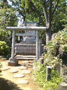 130504富士塚里宮(鳩森神社)@エコカフェ.jpg