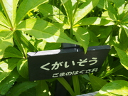 130505クガイソウ看板@エコカフェ.JPG