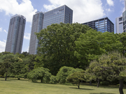 130512浜離宮と高層ビル群@エコカフェ.jpg