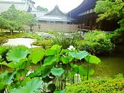 130731金戒光明寺.jpg
