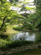 130731金戒光明寺@青柳_n.jpg
