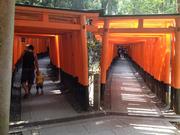 130815伏見稲荷@エコカフェ.jpg