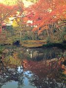 131124圓光寺庭園@青柳n.jpg