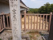 140315宮良川のヒルギ林石碑@エコカフェ.JPG