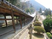140318吉備津彦神社@青柳.jpg