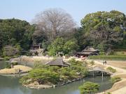 140318後楽園@青柳n.jpg