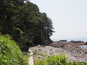 140531海岸沿いの遊歩道@エコカフェ.JPG