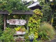 141005皆吉@エコカフェ.JPG