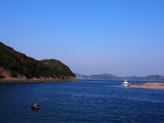 141107マグロ生簀@エコカフェ.JPG
