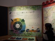 141109ツシマヤマネコの一年@エコカフェ.JPG